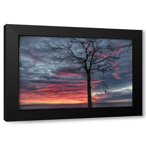Distorted Solution Black Modern Wood Framed Art Print with Double Matting by DeLuca, Pat