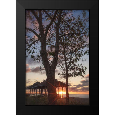 Fragile Shadows Black Modern Wood Framed Art Print by DeLuca, Pat