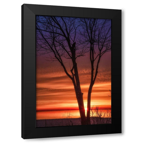 Love And Fire Black Modern Wood Framed Art Print by DeLuca, Pat