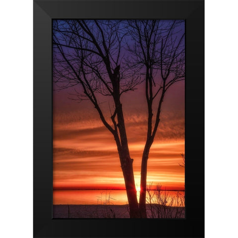 Love And Fire Black Modern Wood Framed Art Print by DeLuca, Pat