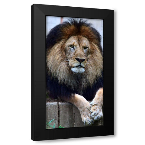 Strength And Dedication Black Modern Wood Framed Art Print with Double Matting by DeLuca, Pat