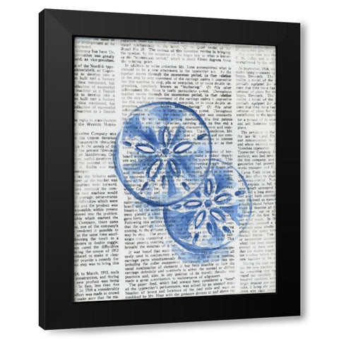 Written Sand Dollars Black Modern Wood Framed Art Print with Double Matting by Varacek, Pam