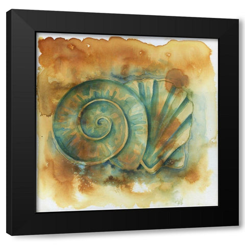 Muddy Shells Black Modern Wood Framed Art Print with Double Matting by Varacek, Pam
