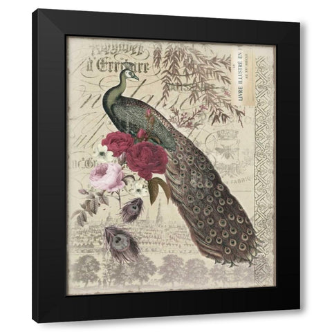 New Peacock 1 Black Modern Wood Framed Art Print with Double Matting by Allen, Candace