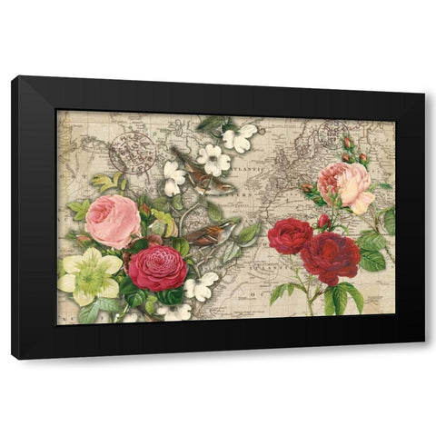 Atlas Bird Garden Black Modern Wood Framed Art Print with Double Matting by Allen, Candace