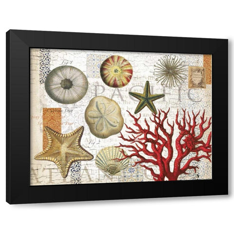Sea Treasures Black Modern Wood Framed Art Print by Allen, Candace
