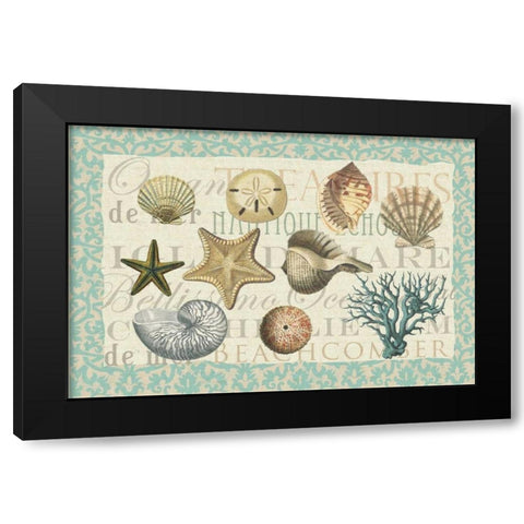 Sea Shell Collection Black Modern Wood Framed Art Print by Allen, Candace
