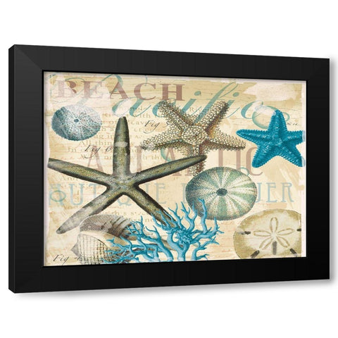 Beach Shells R1 Black Modern Wood Framed Art Print with Double Matting by Allen, Candace