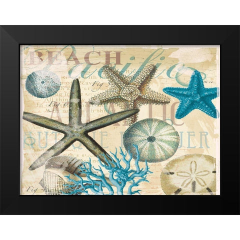 Beach Shells R1 Black Modern Wood Framed Art Print by Allen, Candace