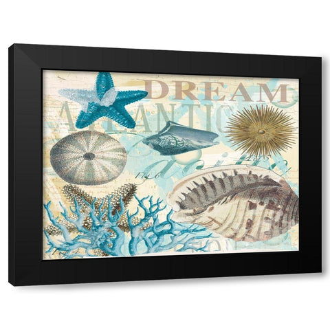 Dream Shells R1 Black Modern Wood Framed Art Print with Double Matting by Allen, Candace