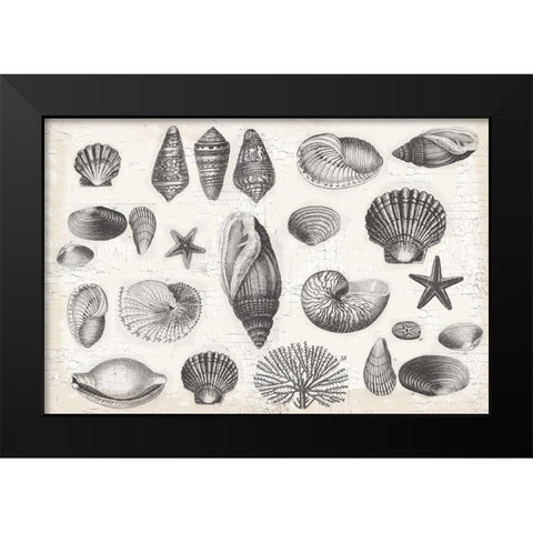 Shell Collage Black Modern Wood Framed Art Print by Lula Bijoux and Company