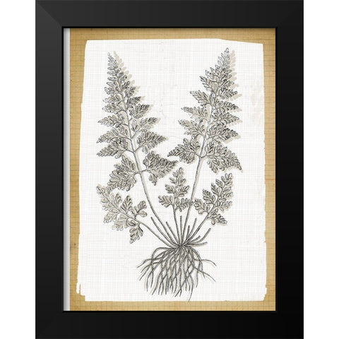 Farmhouse Ferns 1 Black Modern Wood Framed Art Print by Lula Bijoux and Company