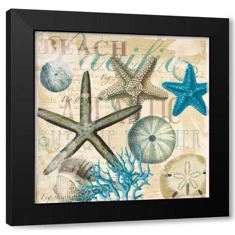 Beach Shells R1 Black Modern Wood Framed Art Print with Double Matting by Allen, Candace