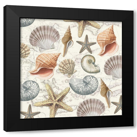 By The Sea Shells 2 Black Modern Wood Framed Art Print with Double Matting by Allen, Candace