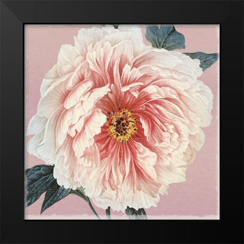 Spring Eden Peony Black Modern Wood Framed Art Print by Lula Bijoux and Company