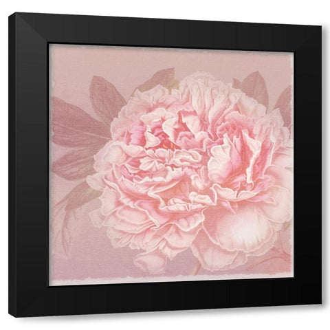 Spring Eden Peony 2 Black Modern Wood Framed Art Print by Lula Bijoux and Company