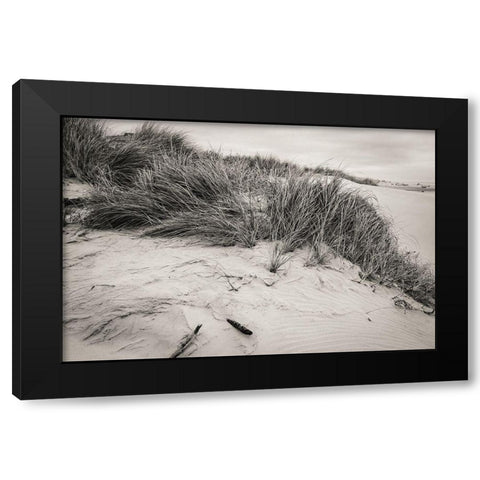 Beachy Dunes Black Modern Wood Framed Art Print by Taylor, Glenn