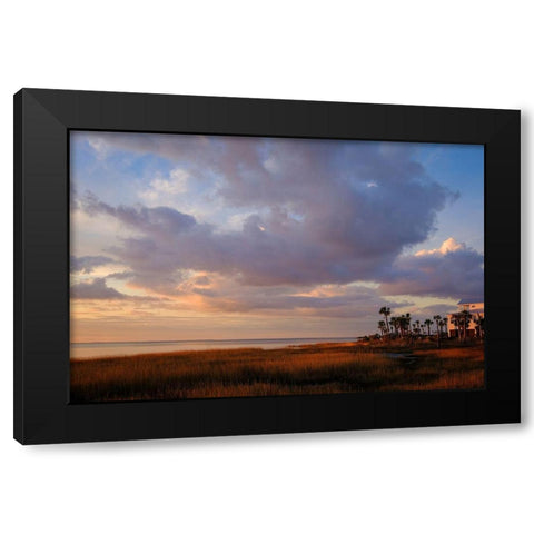 Marsh View Black Modern Wood Framed Art Print by Taylor, Glenn