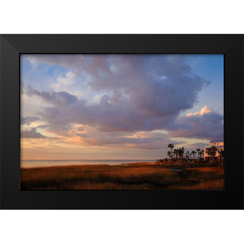 Marsh View Black Modern Wood Framed Art Print by Taylor, Glenn
