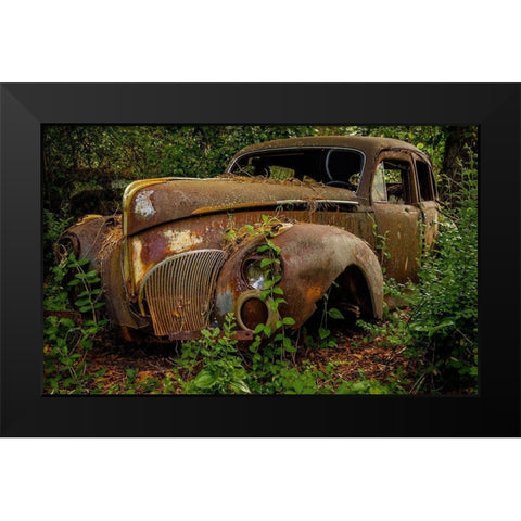 Old Bessy 2 Black Modern Wood Framed Art Print by Taylor, Glenn