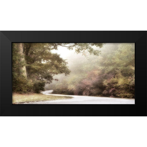 Blue Ridge Parkway Black Modern Wood Framed Art Print by Poinski, Dianne