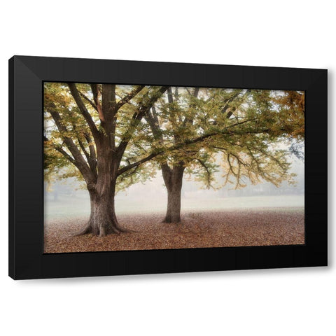 Park 1A Black Modern Wood Framed Art Print with Double Matting by Poinski, Dianne