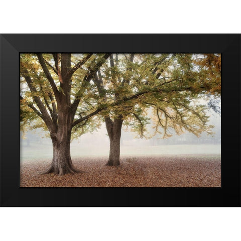 Park 1A Black Modern Wood Framed Art Print by Poinski, Dianne