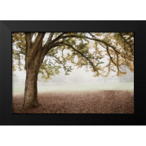 Park 1 Black Modern Wood Framed Art Print by Poinski, Dianne
