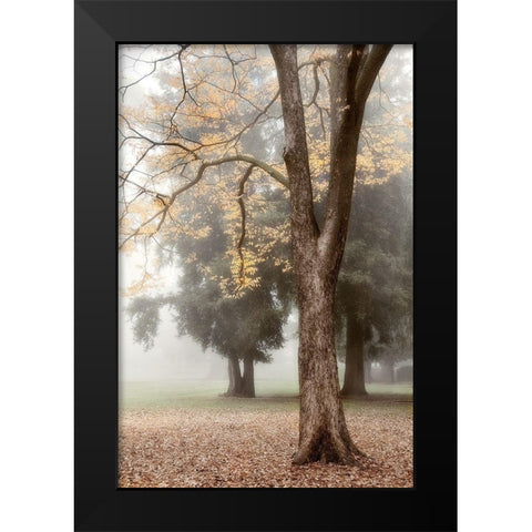 Park 3 Black Modern Wood Framed Art Print by Poinski, Dianne