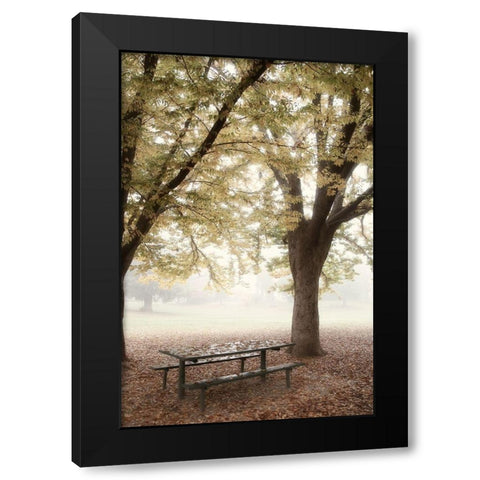 Park 4 Black Modern Wood Framed Art Print with Double Matting by Poinski, Dianne