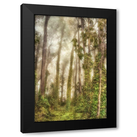 Presidio I Black Modern Wood Framed Art Print by Poinski, Dianne