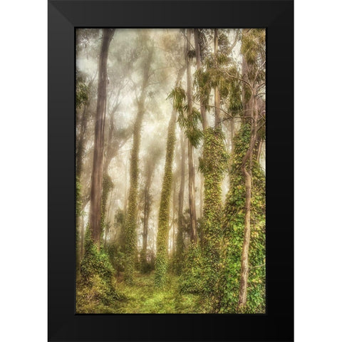 Presidio I Black Modern Wood Framed Art Print by Poinski, Dianne