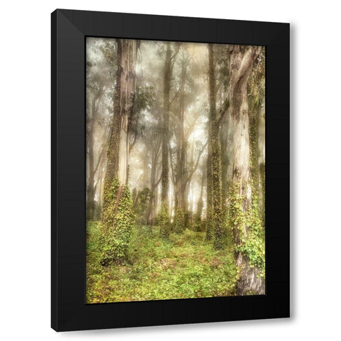 Presidio II Black Modern Wood Framed Art Print with Double Matting by Poinski, Dianne