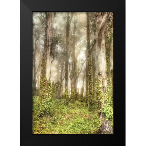 Presidio II Black Modern Wood Framed Art Print by Poinski, Dianne