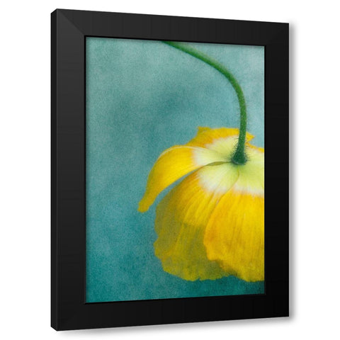 Poppy 1 Black Modern Wood Framed Art Print with Double Matting by Poinski, Dianne