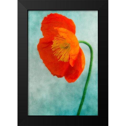 Poppy 3 Black Modern Wood Framed Art Print by Poinski, Dianne