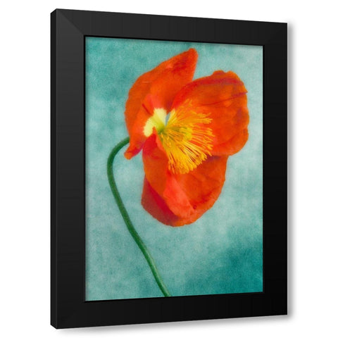 Poppy 4 Black Modern Wood Framed Art Print by Poinski, Dianne