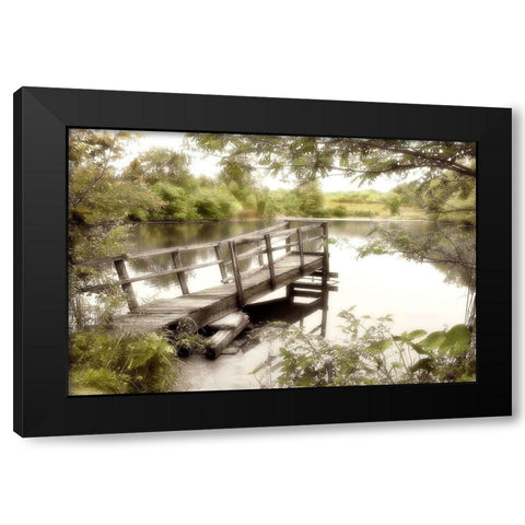 Pond Reflections Black Modern Wood Framed Art Print by Poinski, Dianne