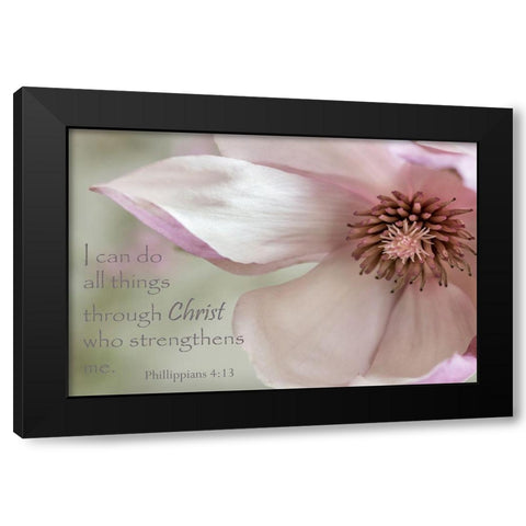 Pink Magnolia Christ Black Modern Wood Framed Art Print with Double Matting by Poinski, Dianne