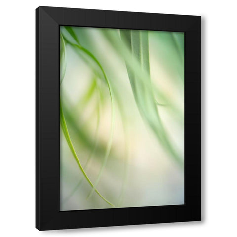 Harmonic 1 Black Modern Wood Framed Art Print with Double Matting by Poinski, Dianne