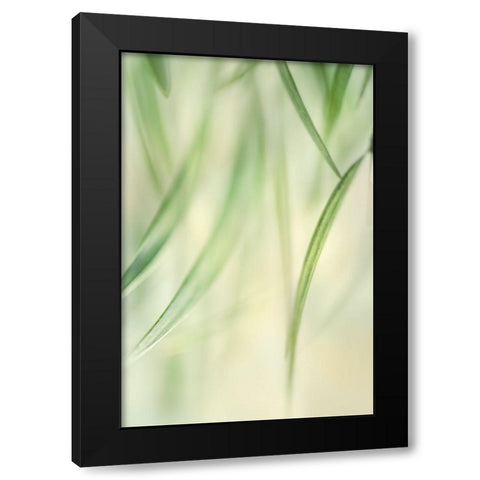 Harmonic 2 Black Modern Wood Framed Art Print with Double Matting by Poinski, Dianne