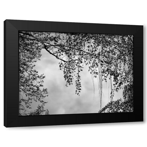 Summer Afternoon BW Black Modern Wood Framed Art Print with Double Matting by Poinski, Dianne
