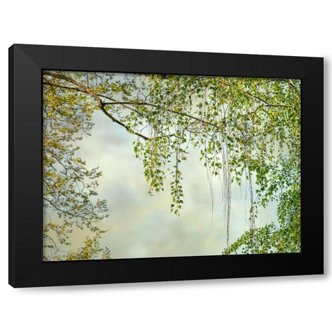 Summer Afternoon Black Modern Wood Framed Art Print by Poinski, Dianne