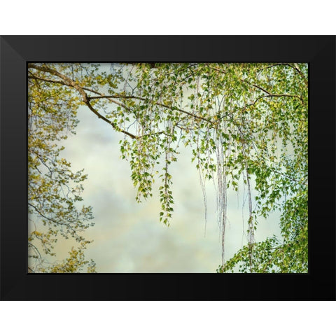 Summer Afternoon Black Modern Wood Framed Art Print by Poinski, Dianne