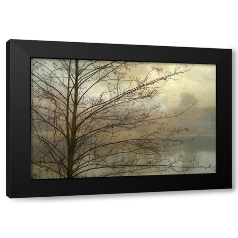 Branches Black Modern Wood Framed Art Print with Double Matting by Poinski, Dianne