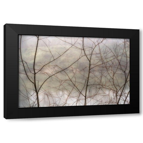 Dew Drops Black Modern Wood Framed Art Print with Double Matting by Poinski, Dianne