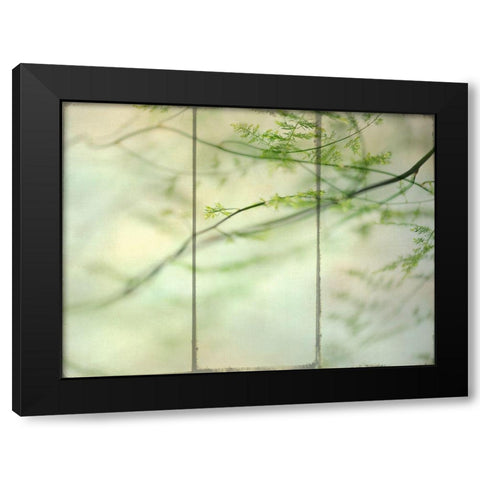Delicate Light Black Modern Wood Framed Art Print by Poinski, Dianne