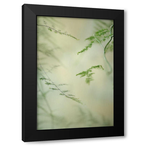Soft Adagio 1 Black Modern Wood Framed Art Print by Poinski, Dianne