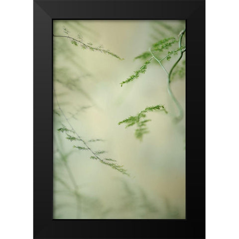Soft Adagio 1 Black Modern Wood Framed Art Print by Poinski, Dianne