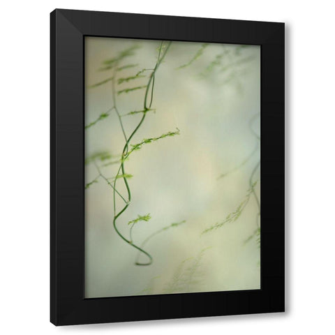 Soft Adagio 2 Black Modern Wood Framed Art Print with Double Matting by Poinski, Dianne